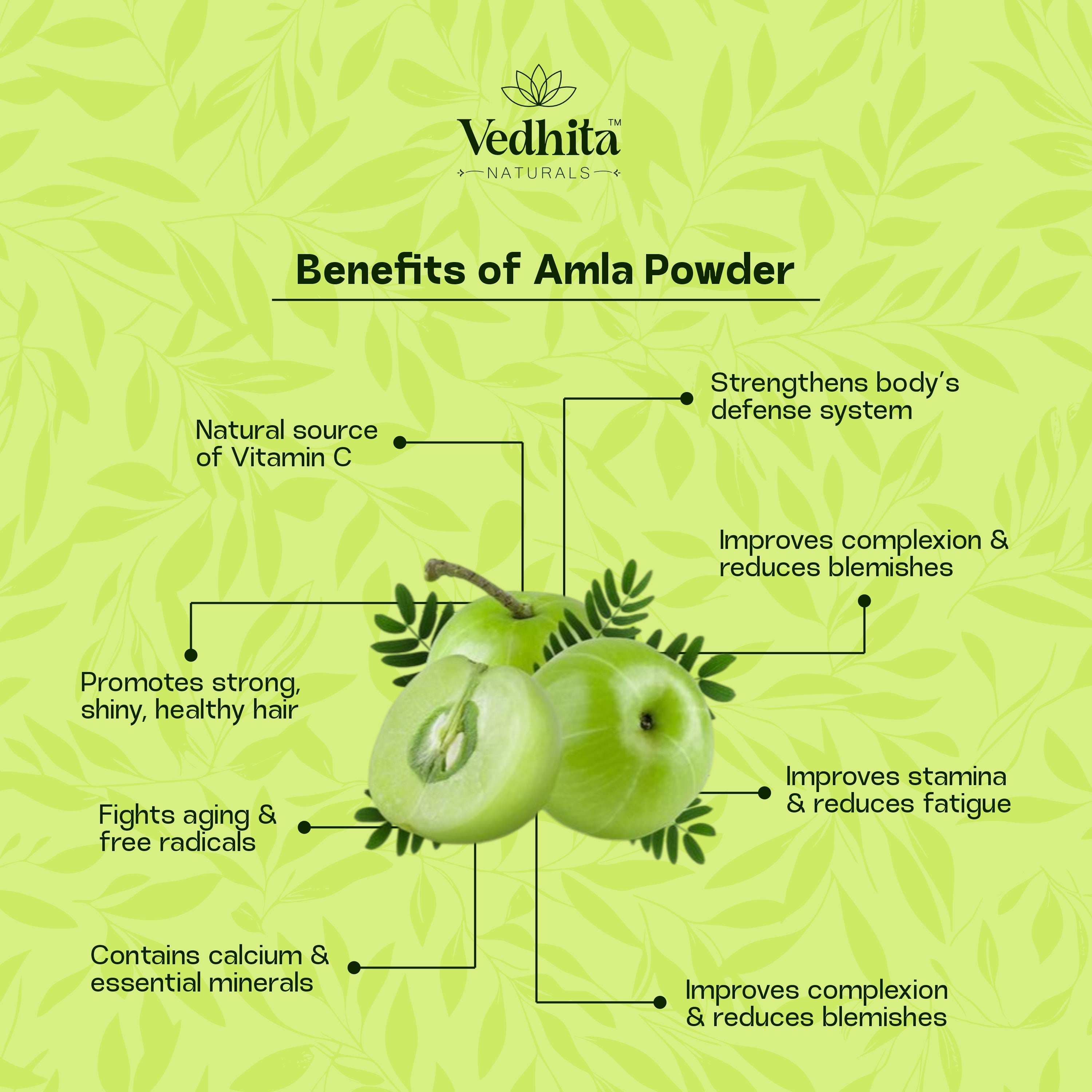 Vedhita Amla Powder (Indian Gooseberry) - 100% Pure & Natural