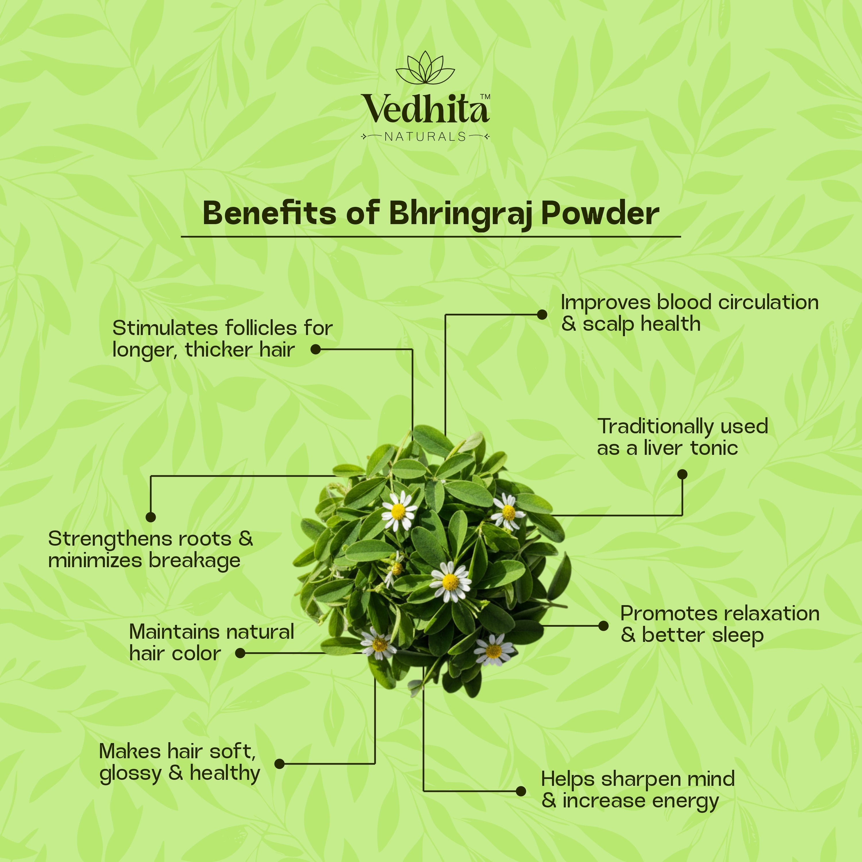 Vedhita Bhringraj Powder (False Daisy) - 100% Pure & Natural